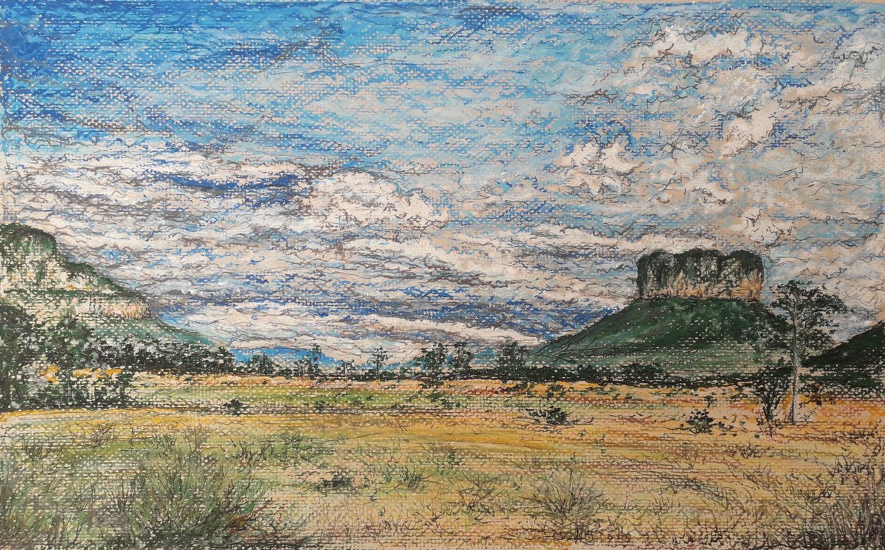 A NAGY SZAVANNA VENEZUELA alkotó: miguelmendez_art.ve
