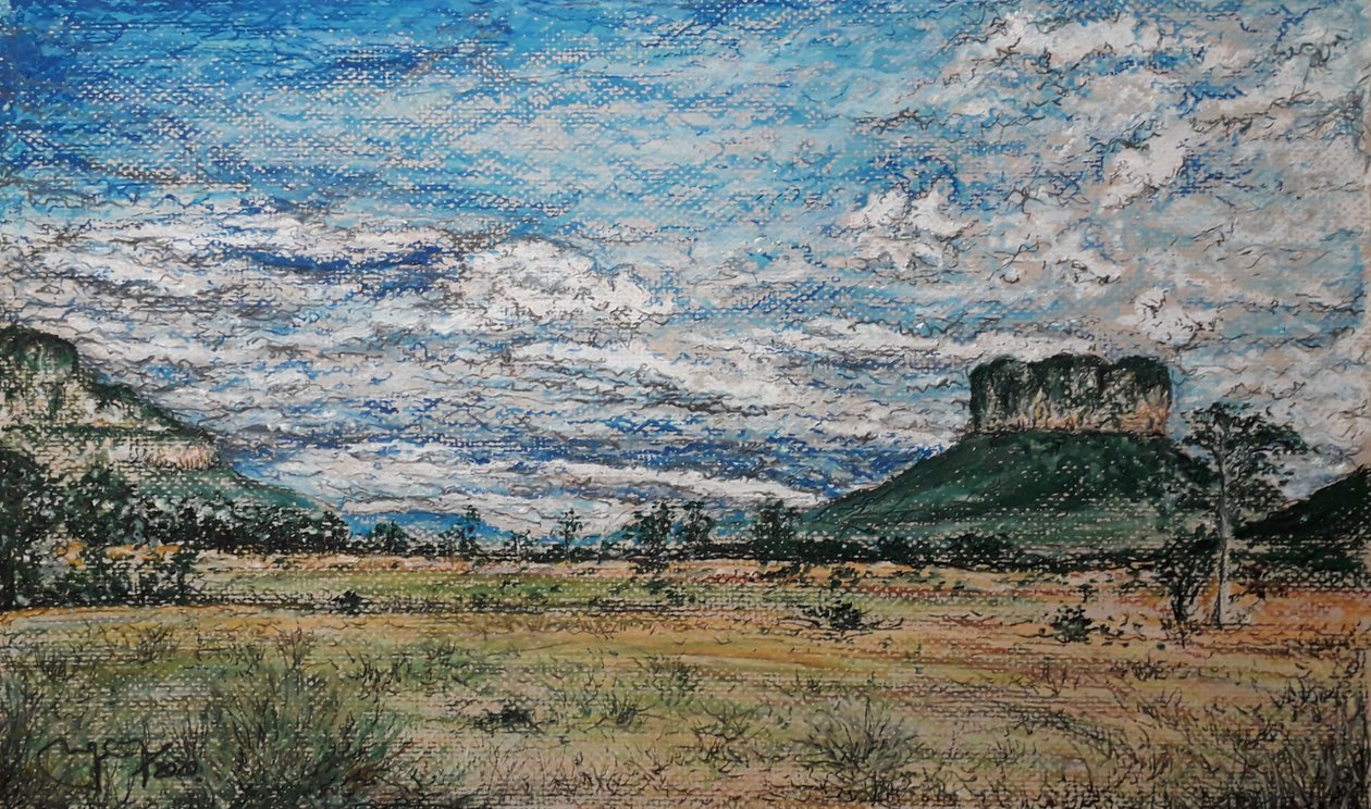 A NAGY SZAVANNA VENEZUELA alkotó: miguelmendez_art.ve