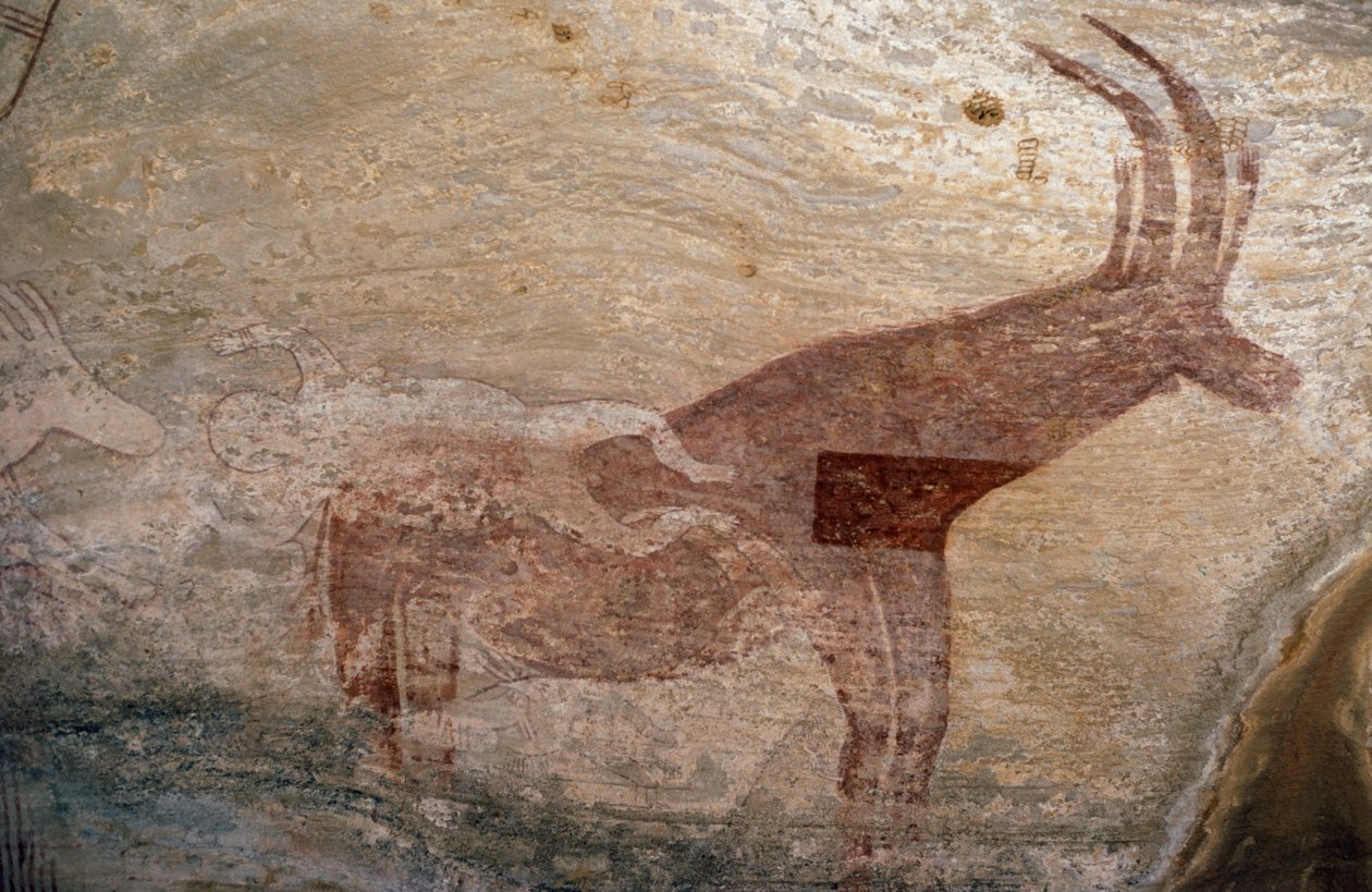 Patás állat, barlangfestmény, Sephar, Tassili n