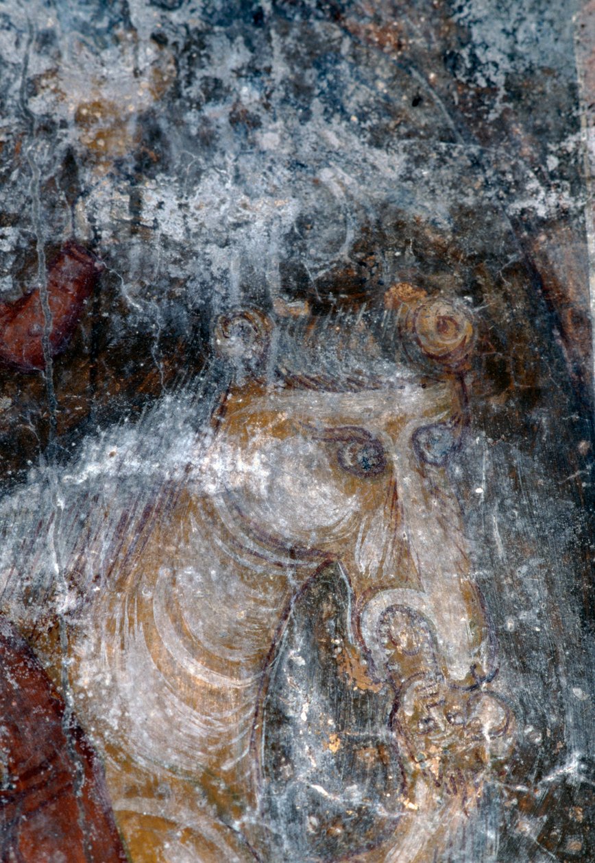 Ló, freskó az Agia Paraskevi templomban, Anisaraki, Kréta, Görögország (fotó) alkotó: Theodore Charles Ange Coquelin