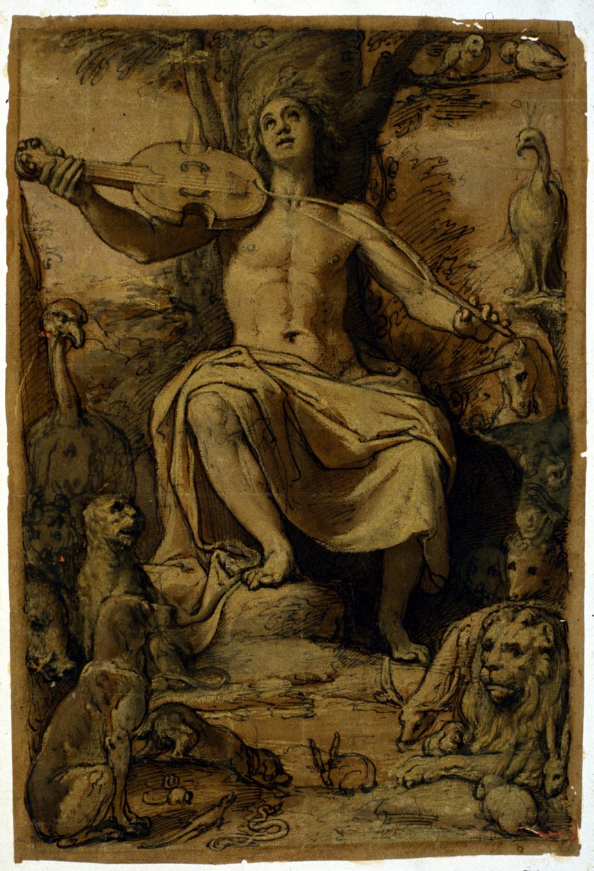 Orpheusz hegedű zenéjével varázsolja el az állatokat. Federico Zuccari (1542 - 1609) rajza. alkotó: or Zuccaro Federico Zuccari