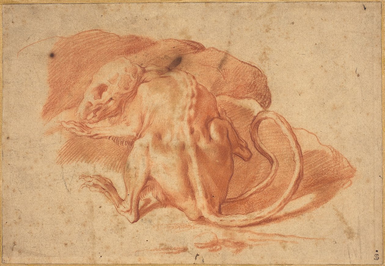 Részlegesen bőrű patkány alkotó: possibly Florentine or Roman Italian 16th