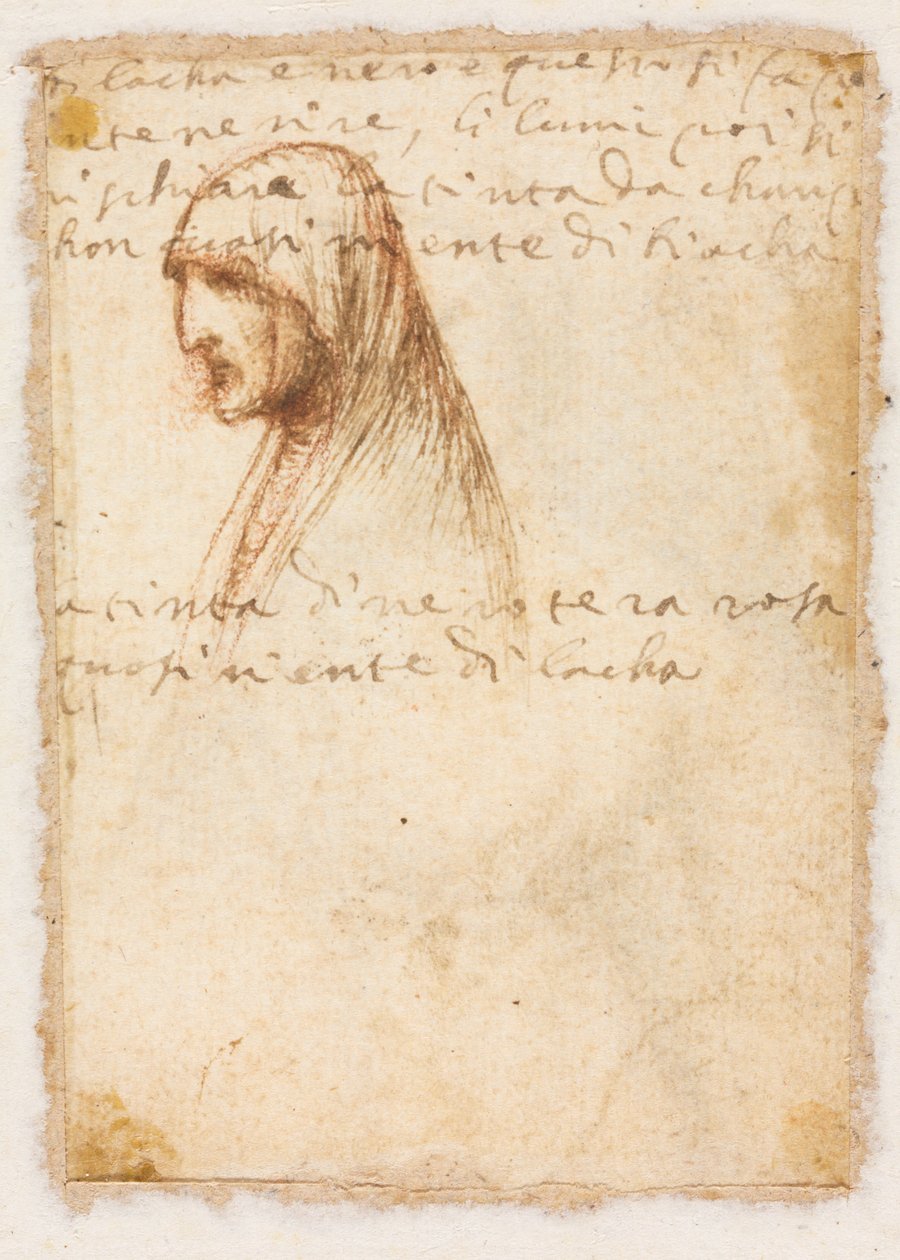 Egy idős nő mellhosszú profilja (fordítva) alkotó: possibly by Dosso Dossi