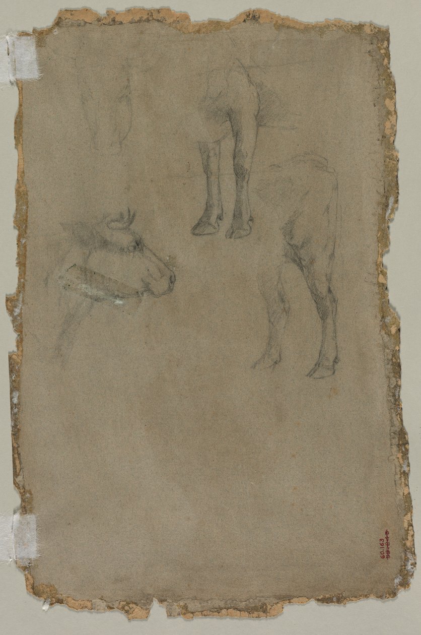 Tanulmányok egy bikáról (fordítva) alkotó: possibly by Johan Barthold Jongkind