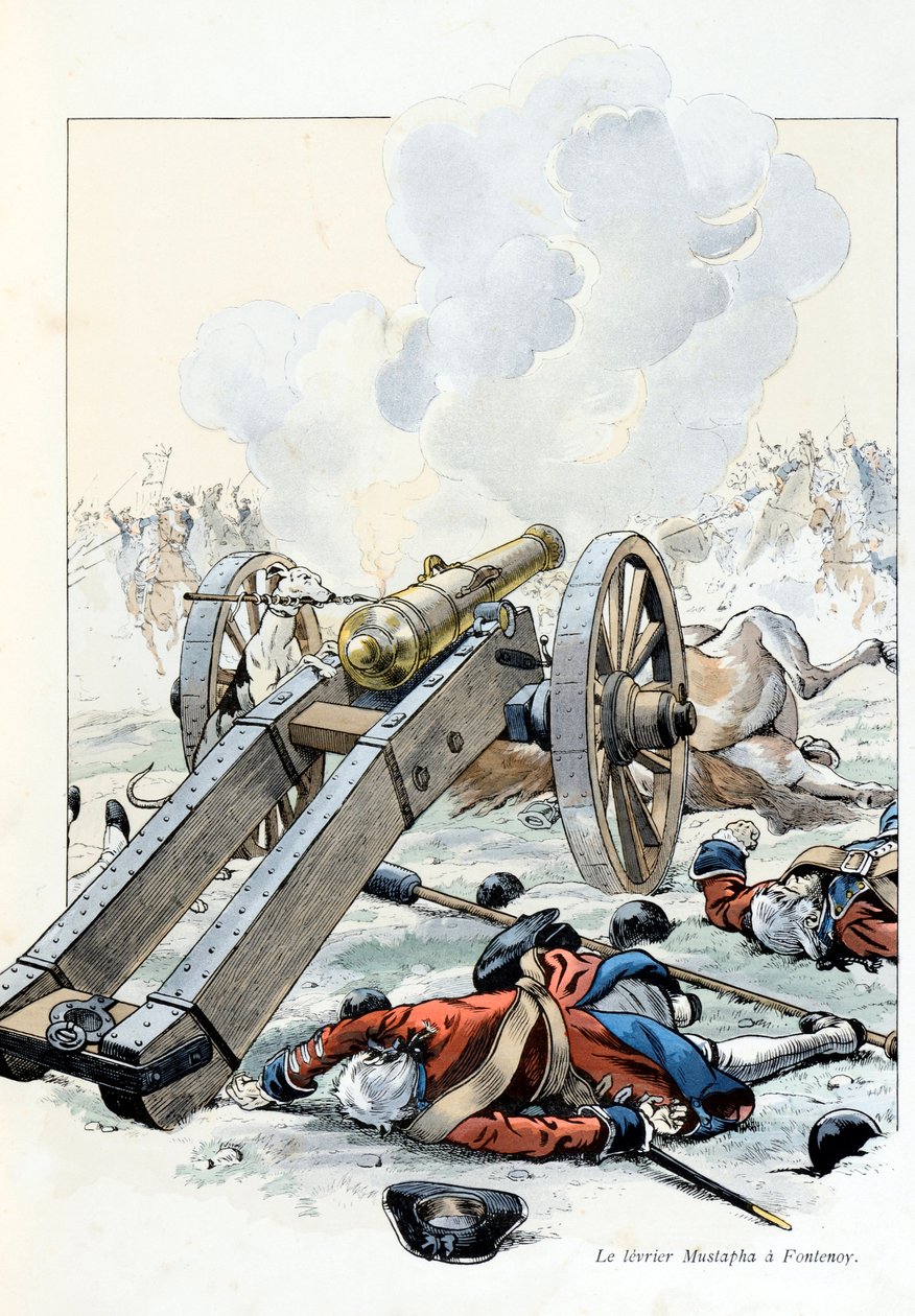 Illusztráció az „A la gloire des betes” könyvből A Fabre szövege, Jacques Marie Gaston rajzai Onfray de Breville dit JOB (1858-1931), kiadó Maison Alfred Mame et fils: Az osztrák örökösödési háború: az élesztőgomba Mustapha in Fontenoy alkotó: pseudonym for Onfray de Breville Jacques Job