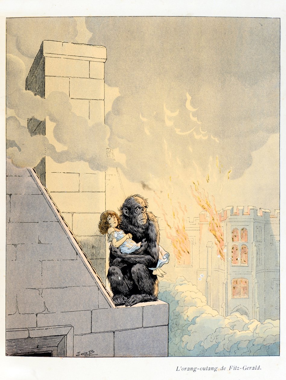 Illusztráció az „A la Glory des Betes” könyvből, A Fabre szövege, Jacques Marie Gaston rajzai Onfray de Breville dit JOB (1858-1931), Maison Alfred Mame kiadó és fia: L’Orang Outan, Fitz-Gerald (Fitz) Gerald) (Leicester hercege, Ki márkija alkotó: pseudonym for Onfray de Breville Jacques Job