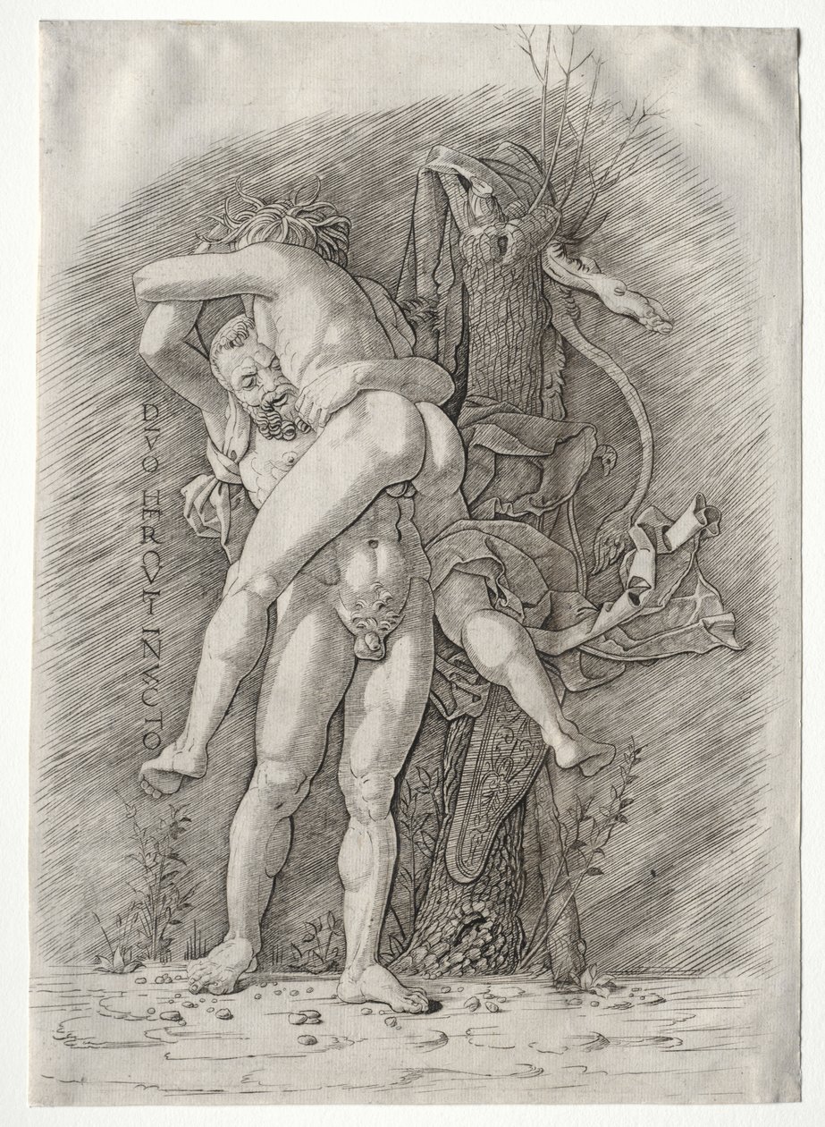 Herkules és Antaeus alkotó: school of Andrea Mantegna