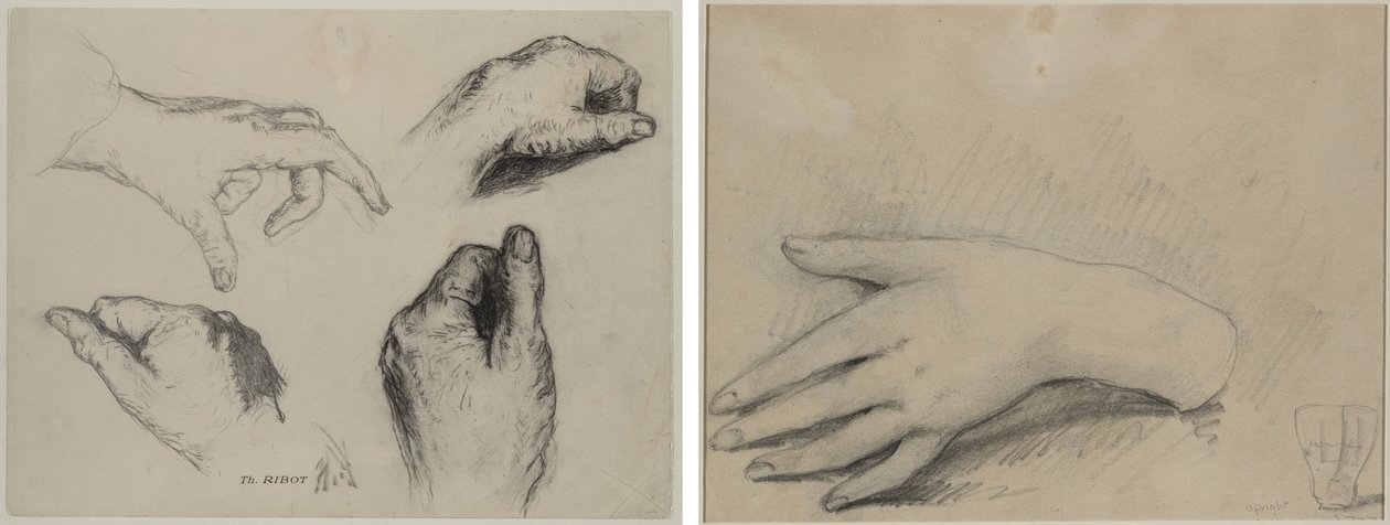 Study of Hands (recto); Egy női kéz tanulmányozása (fordítva) alkotó: studio of A. W. A. Plâté Studio (Ceylonese)