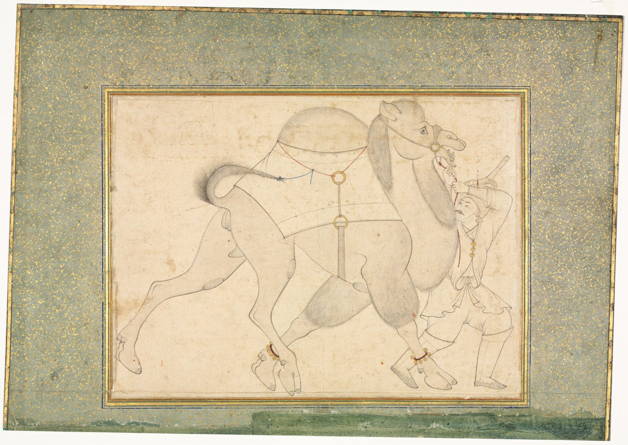 teve és vőlegény; Egyoldalas illusztráció alkotó: style of Shaykh Muhammad