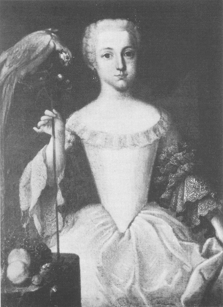 Franziska Antonia von Falkenstein, szül. Franziska Antonia von Schauenburg (1744-1786) portréja alkotó: Unknown