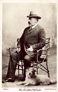 VII. Edward néhai király ezzel a kedvenc Caesar kutyával (f/w fotó)