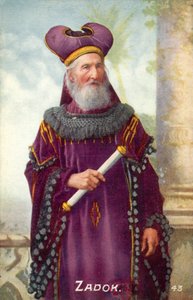 szamár (színes fotó)