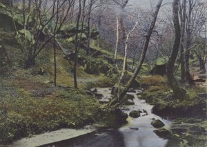 Vaux de Cernay, Les Cascades (színes fotó) alkotó: (after) French Photographer