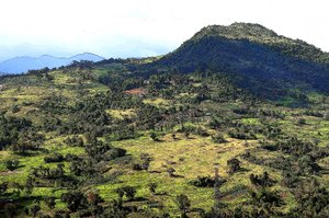 Cebu Hills alkotó: Detlef B. Fischer