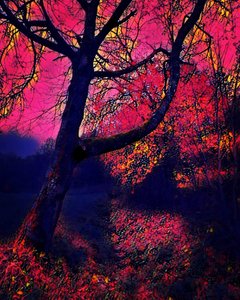 Alkonyat. alkotó: Margareta Uliarte