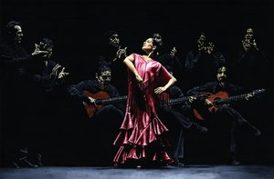 Büszke flamenco táncos