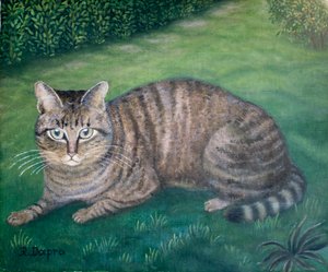 A macska Julia