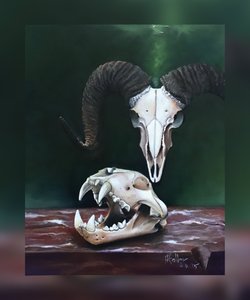 Memento mori (Állati koponyák tanulmánya)