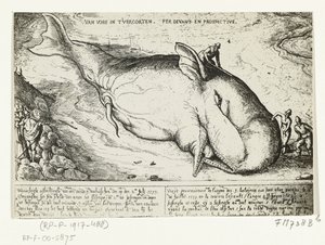 Az Antwerpen közelében elmosódott bálna lenyomata, 1577. július 2 alkotó: A.B. van Deinse