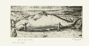 Az Antwerpen közelében elmosódott bálna lenyomata, 1577. július 2 alkotó: A.B. van Deinse