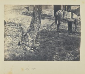 Törés és hajlítás a fa körüli síneken alkotó: A.J. Russell