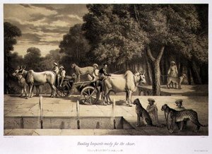 Vadászatra kész leopárdok, a „Voyage in India”-ból, Louis Henri de Rudder (1807-81) kocsmája metszetében. Londonban alkotó: A. (after) Soltykoff
