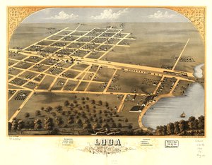 Loda madártávlatból, Iroquois Co., Illinois 1869. LOC 73693361