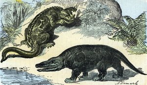 Őstörténet: egy iguanodon és megalosaurus ábrázolása a kréta időszakból
