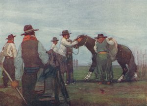 Gauchók egy fiatal lóba törve, 1916 alkotó: A. S. Forrest