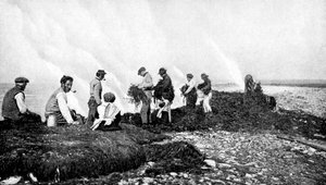 Moszatok égetése moszatért, Aran-szigetek, Írország, 1922.