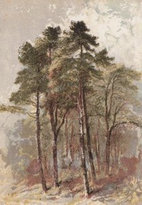 fenyőfacsoport (kromolito) alkotó: Aaron Edwin Penley