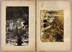 N. Amerikai indiánok, tanulmányi mappa a Concealing Coloration in the Animal Kingdom című könyvhöz alkotó: Abbott Handerson Thayer