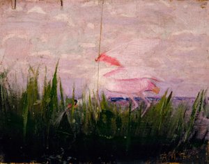 Rózsaszínű kanalasgém, tanulmány a Concealing Coloration in the Animal Kingdom című könyvhöz alkotó: Abbott Handerson Thayer