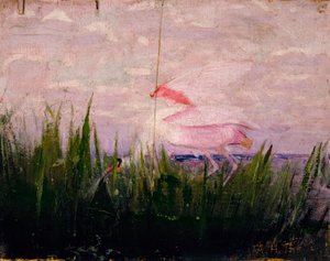 Roseate Spoonbill, tanulmány a színezés elrejtése az állatvilágban könyvhöz, kb. 1905-1909.