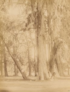 Mexikó. Chapultepec liget, Mexikó közelében