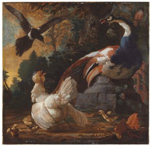 Páva, baromfi és szarka egy tájban, 1720 alkotó: Abraham Bisschop
