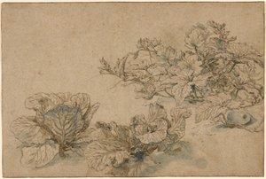 Velőtök és káposzták tanulmányai alkotó: Abraham Bloemaert