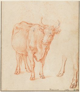 Tehéntanulmányok alkotó: Abraham Bloemaert