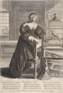 A papagáj, 1620-76. alkotó: Abraham Bosse