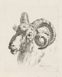 Ram feje balra