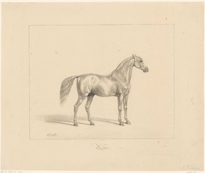 arab mén Vézir (cím a tárgyon) alkotó: Abraham Vinkeles