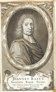 John Ray, angol természettudós, 1680-as évek alkotó: Abraham de Blois