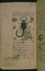 Az állatöv csillagképei: Skorpió, Skorpió, Talim dar marifat i taqvim, 1498 (903 Hijra) (tinta) alkotó: Abu Jafar al Tabari