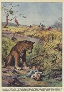 Afrikai kalandok