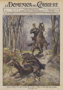 Szerencsétlen lovaglás, Albert belga király leesik a lováról és eltöri a karját a soignes-i erdőben