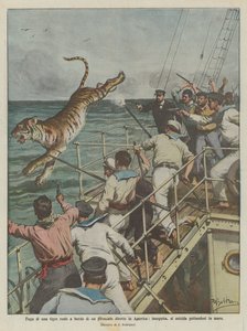 Királytigris megszökése egy Amerikába tartó gőzhajó fedélzetén, üldözőbe vették, és öngyilkosságot követ el úgy, hogy a tengerbe ugrott