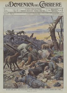 A háború borzalmai, éhes farkascsapatok támadják meg az Augustowi csatateret, megtámadják a halottakat és a sebesülteket.