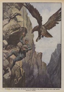 Vadőr, aki Varese Ligurében megtámad egy sasfészket, és közben meglepődik?