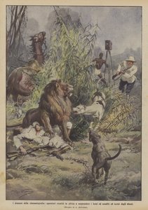 A mozi drámái, operátorok, akik Afrikába mentek, hogy meglepjék az oroszlánokat és támadtak?