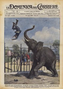 A pachyderm második bűne